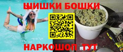 гашик Новозыбков