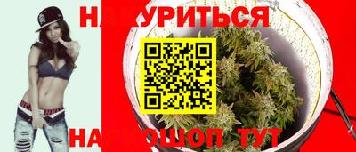 гашик Новозыбков