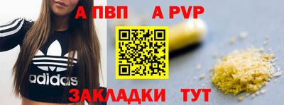 гашик Новозыбков