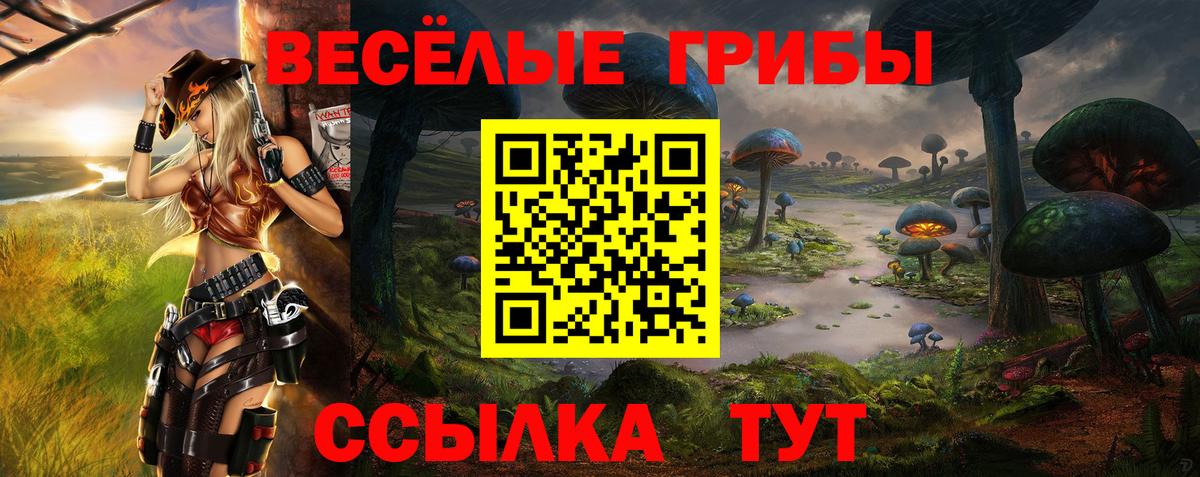 Галлюциногенные грибы ЛСД  Вход с VPN  Рассказово 
